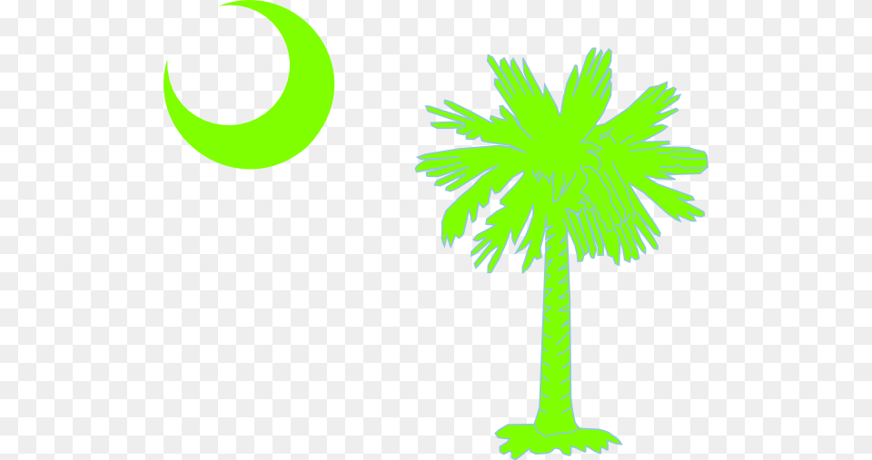 Sc Palmetto Tree, Leaf, Palm Tree, Plant, Green Png Image