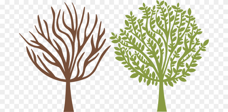 Scalable Vector Graphics, Leaf, Plant, Tree, Person Free Transparent Png