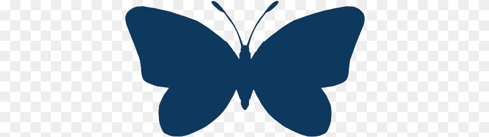 Scalable Vector Graphics, Insect, Animal, Butterfly, Invertebrate Free Png Download