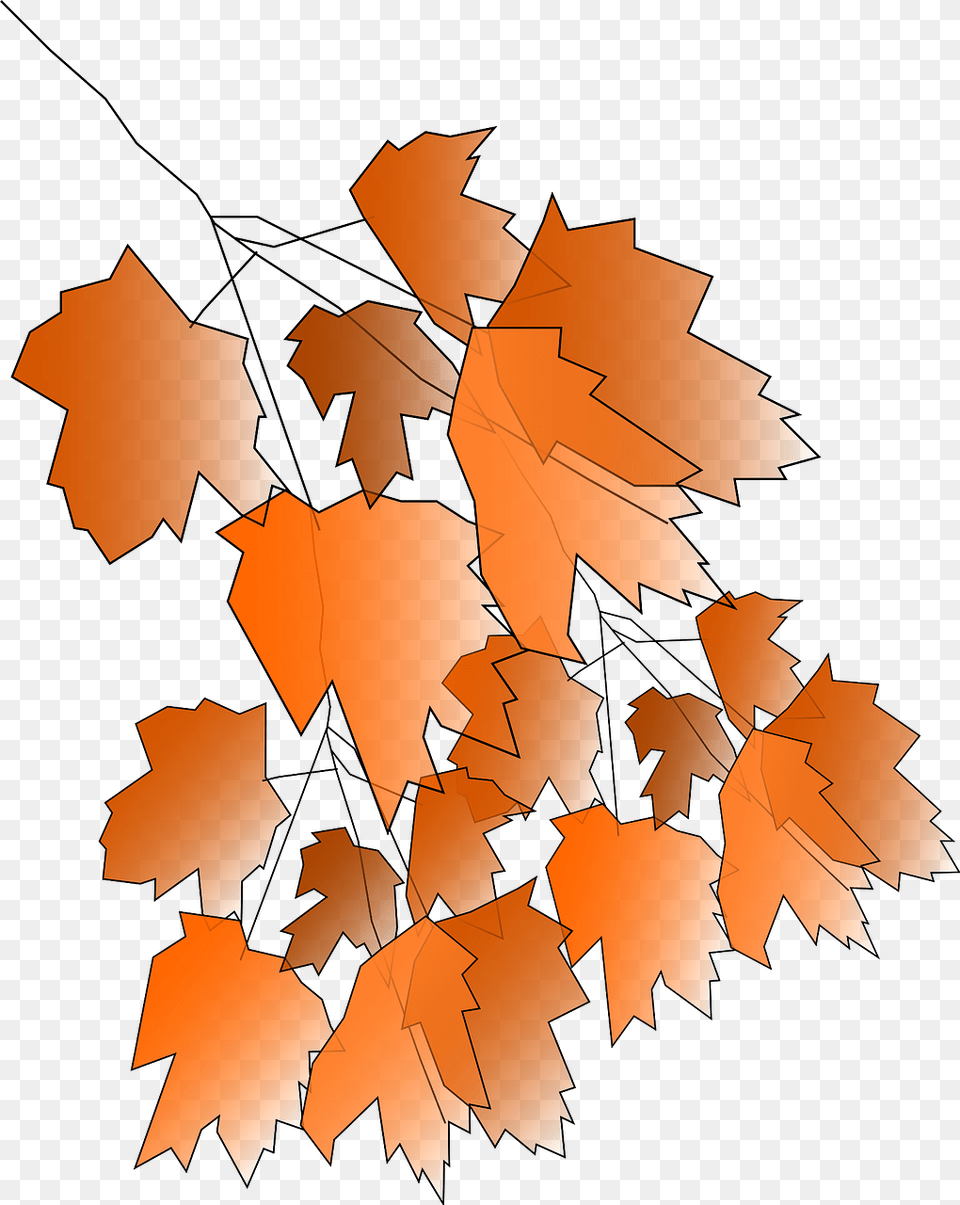 Scalable Vector Graphics, Leaf, Maple, Plant, Tree Free Transparent Png