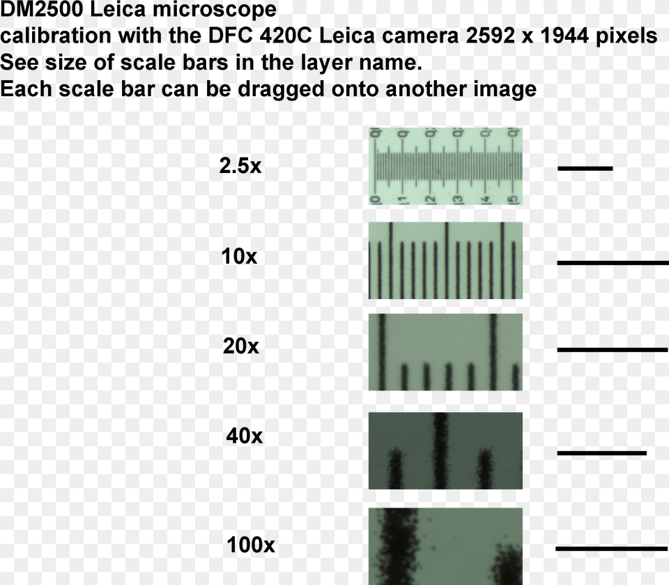 Scale Bar Scale Bar Microscopy Magnification Png Image