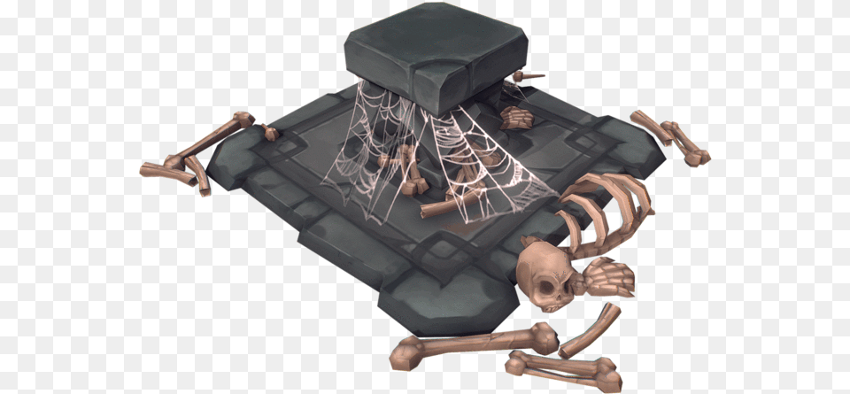 Scale Model, Skeleton, Adult, Male, Man Free Png Download