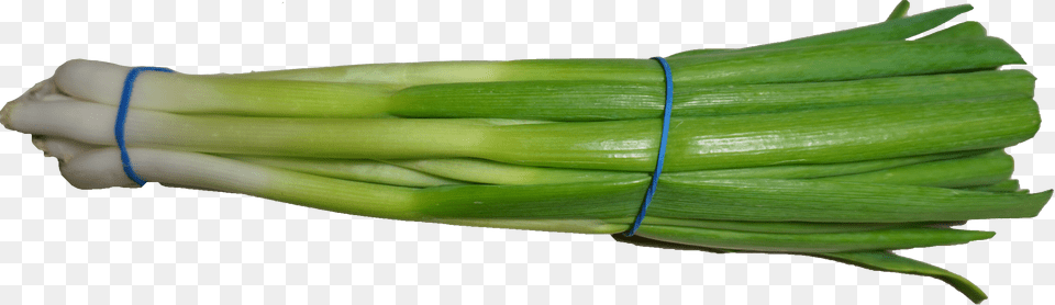 Scallion 2 Wikimedia Commons, Food, Produce, Plant, Spring Onion Png