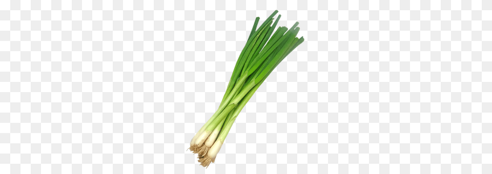 Scallion Food, Produce, Plant, Spring Onion Free Png Download