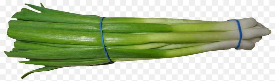 Scallion Green Onion Food, Produce, Plant, Spring Onion Png Image