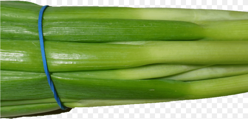 Scallion Green Onion Green Onion Transparent Background, Food, Plant, Produce, Leek Png Image