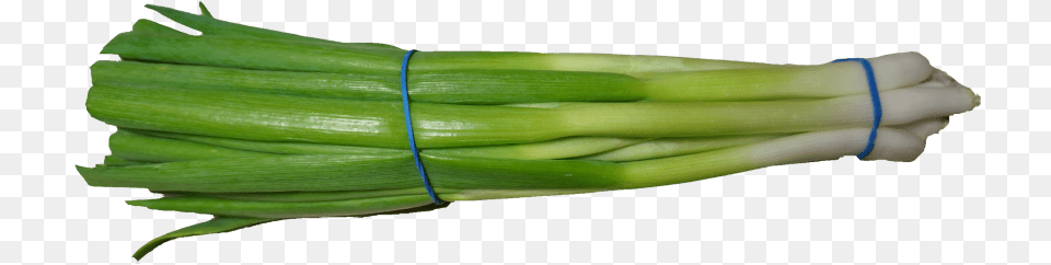 Scallion Green Onion Images Transparent Scallion, Food, Produce, Plant, Spring Onion Png