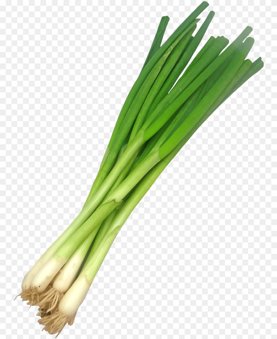 Scallion Scallions Ramp Picture Spring Onion Transparent, Food, Plant, Produce, Spring Onion Png