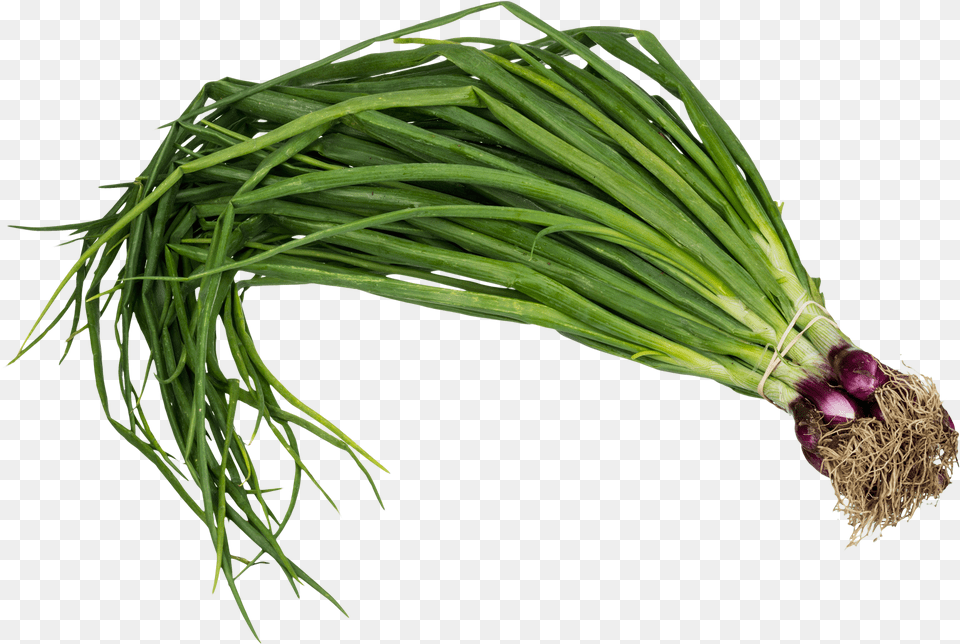 Scallion Spring Onion, Food, Plant, Produce, Spring Onion Png Image