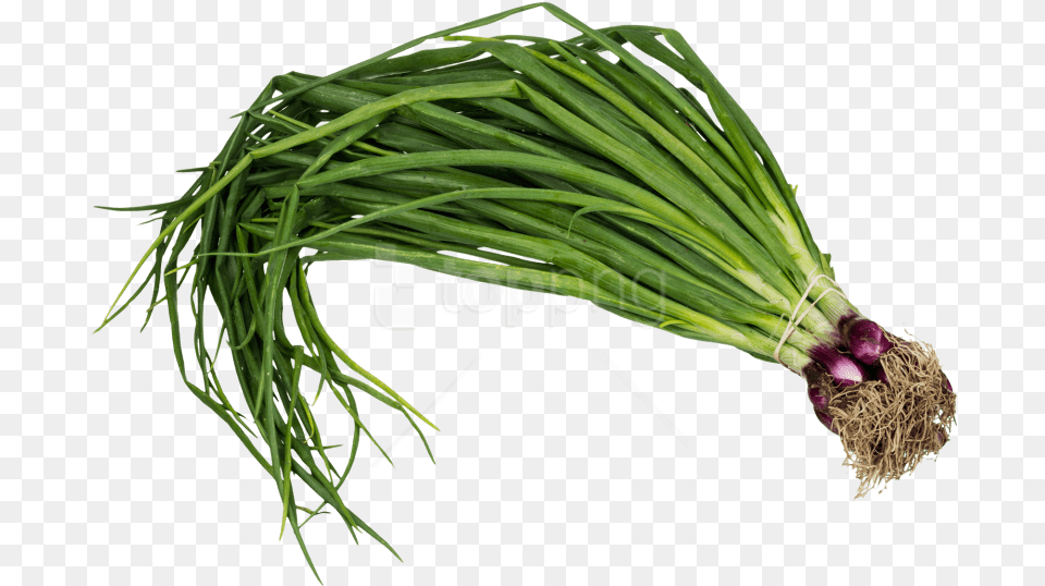 Scallion Spring Onion Images Spring Onion, Food, Produce, Plant, Spring Onion Free Transparent Png