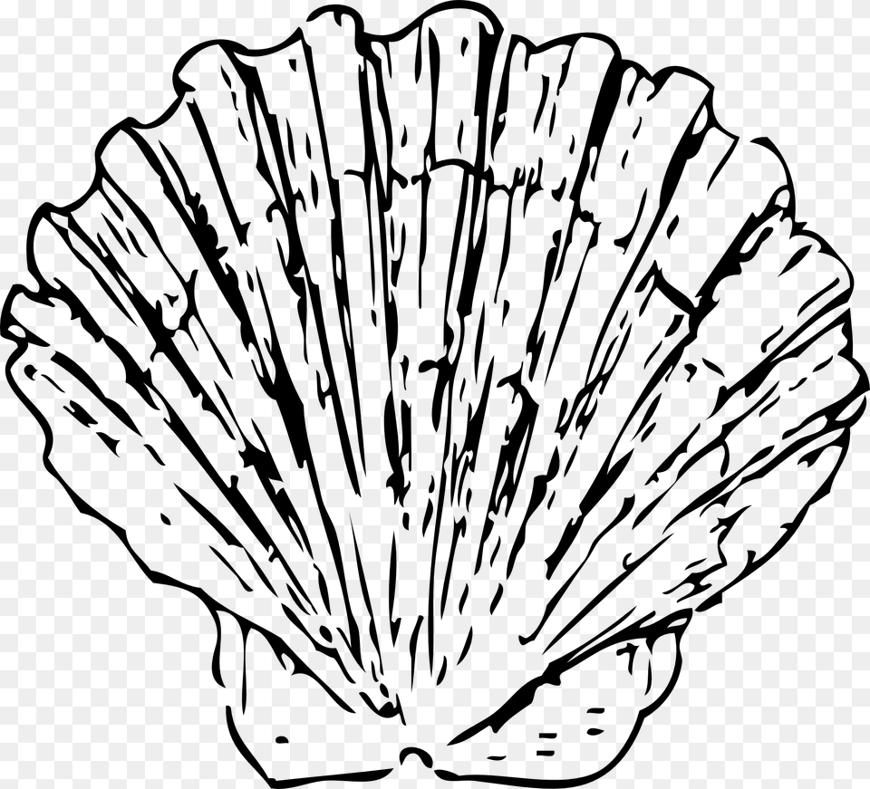 Scallop Clipart, Animal, Clam, Food, Invertebrate Free Png Download
