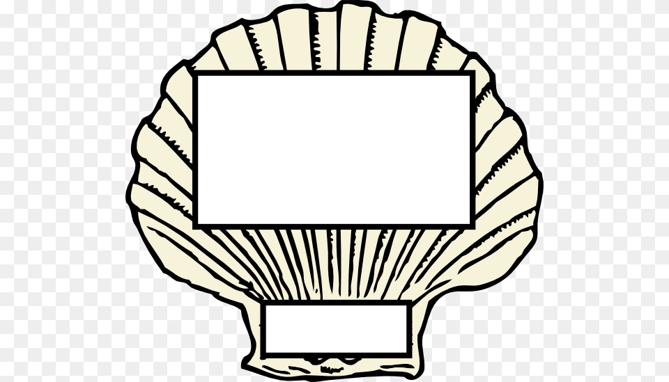 Scallop Clipart, Animal, Clam, Food, Invertebrate Free Png