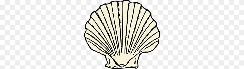Scallop Images Icon Cliparts, Animal, Clam, Food, Invertebrate Free Png Download