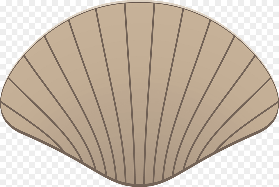 Scallop Seashell Clipart, Animal, Clam, Food, Invertebrate Free Png