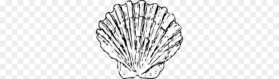 Scallop Shell Clip Art Scroll Saw Ideas Art, Animal, Clam, Food, Invertebrate Free Png