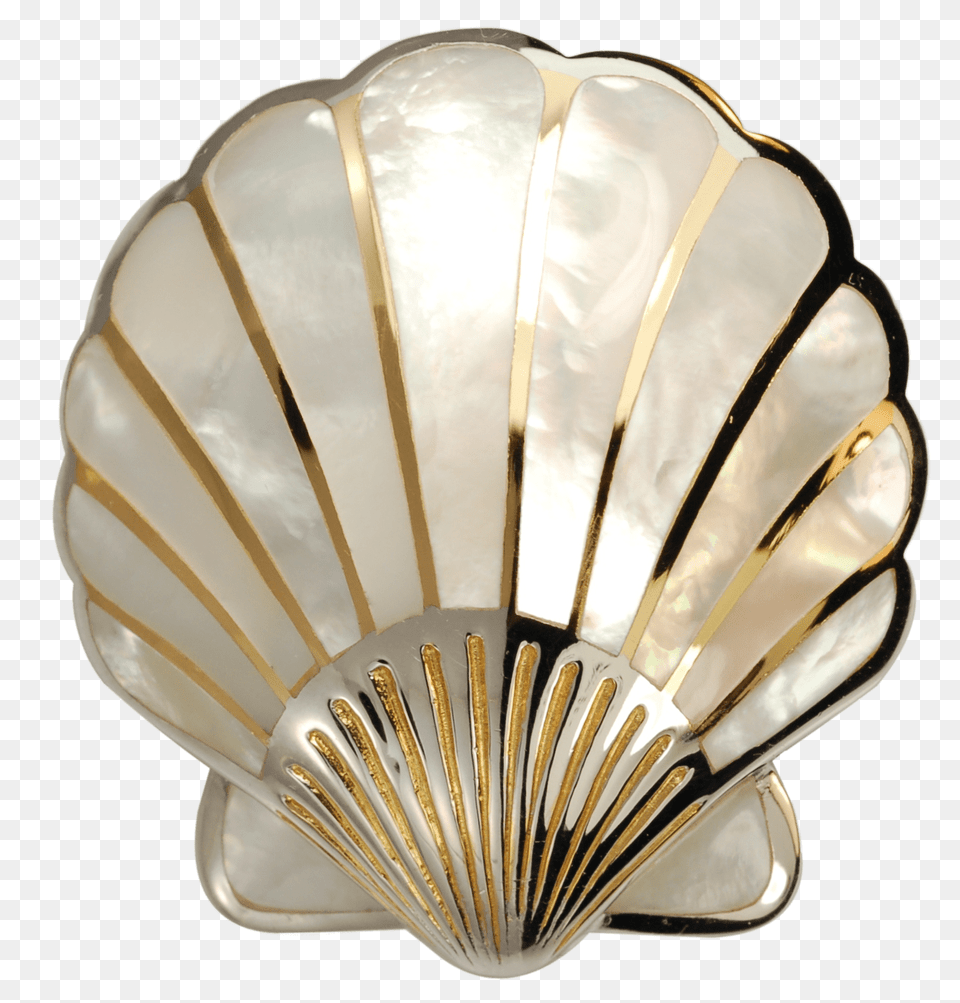 Scallop Shell Large, Animal, Invertebrate, Sea Life, Seashell Png