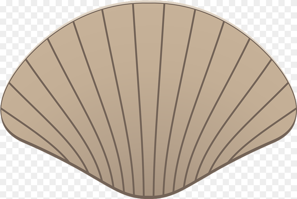 Scallop Shell Mussel Kerang Icon, Animal, Clam, Food, Invertebrate Png Image