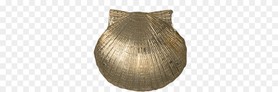 Scallop Shell Pinpendant, Animal, Clam, Food, Invertebrate Png Image