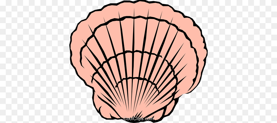 Scallop Shell Royalty Vector Clip Art Illustration, Animal, Clam, Food, Invertebrate Free Png