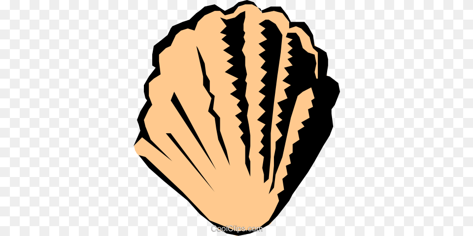 Scallop Shell Royalty Vector Clip Art Illustration, Animal, Clam, Food, Invertebrate Free Transparent Png