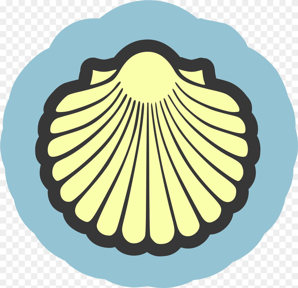 Scallop Shell Vector Seashell Icon, Animal, Clam, Food, Invertebrate Png