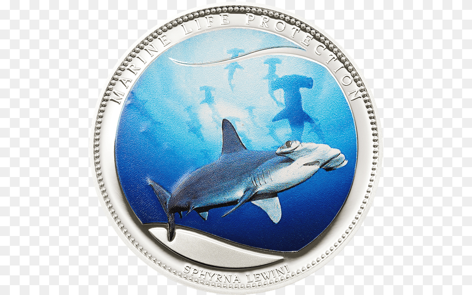 Scalloped Hammerhead Cit Coin Invest Trust Ag B Great White Shark, Animal, Fish, Sea Life Free Png Download