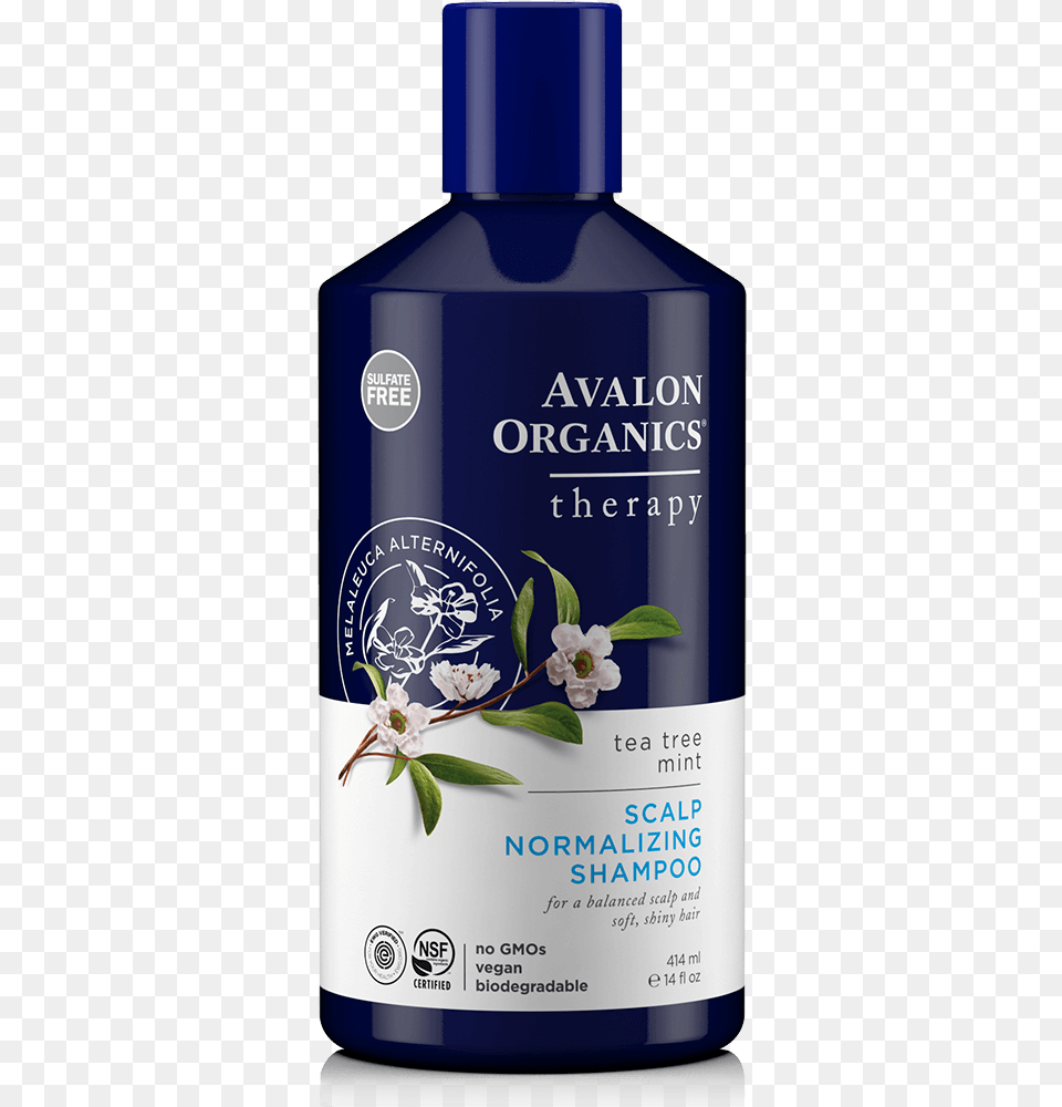 Scalp Normalizing Shampoo Avalon Organics Shampoo Biotin, Bottle, Cosmetics, Perfume Free Png Download
