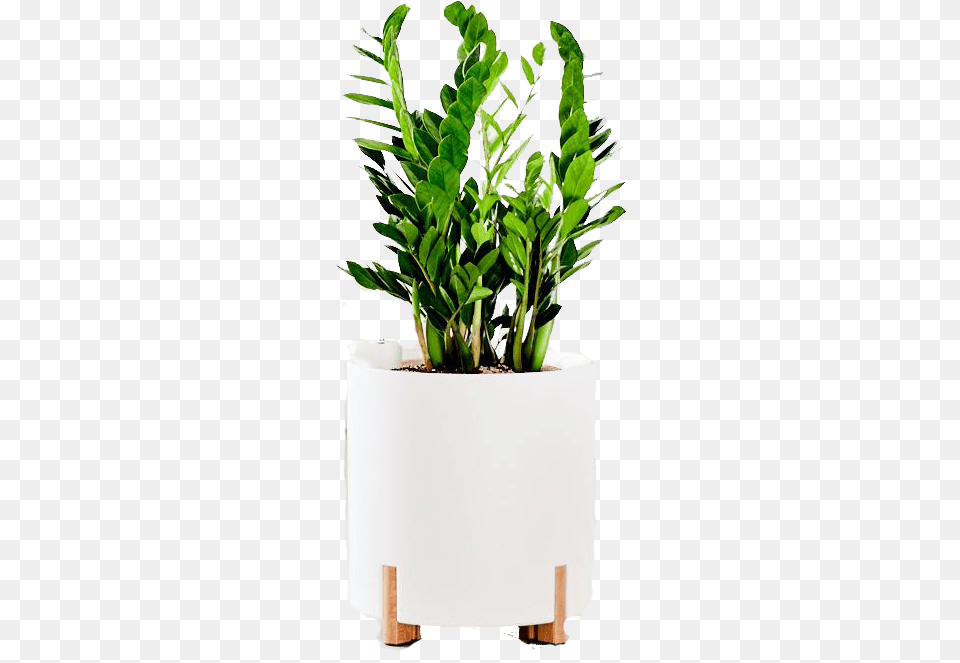 Scandinavian Pot Range, Jar, Plant, Planter, Potted Plant Free Png