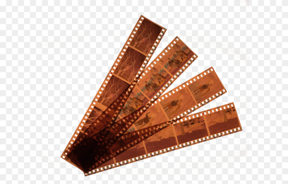 Scanning Of Negatives Only Film Negatives, Photographic Film Png Image