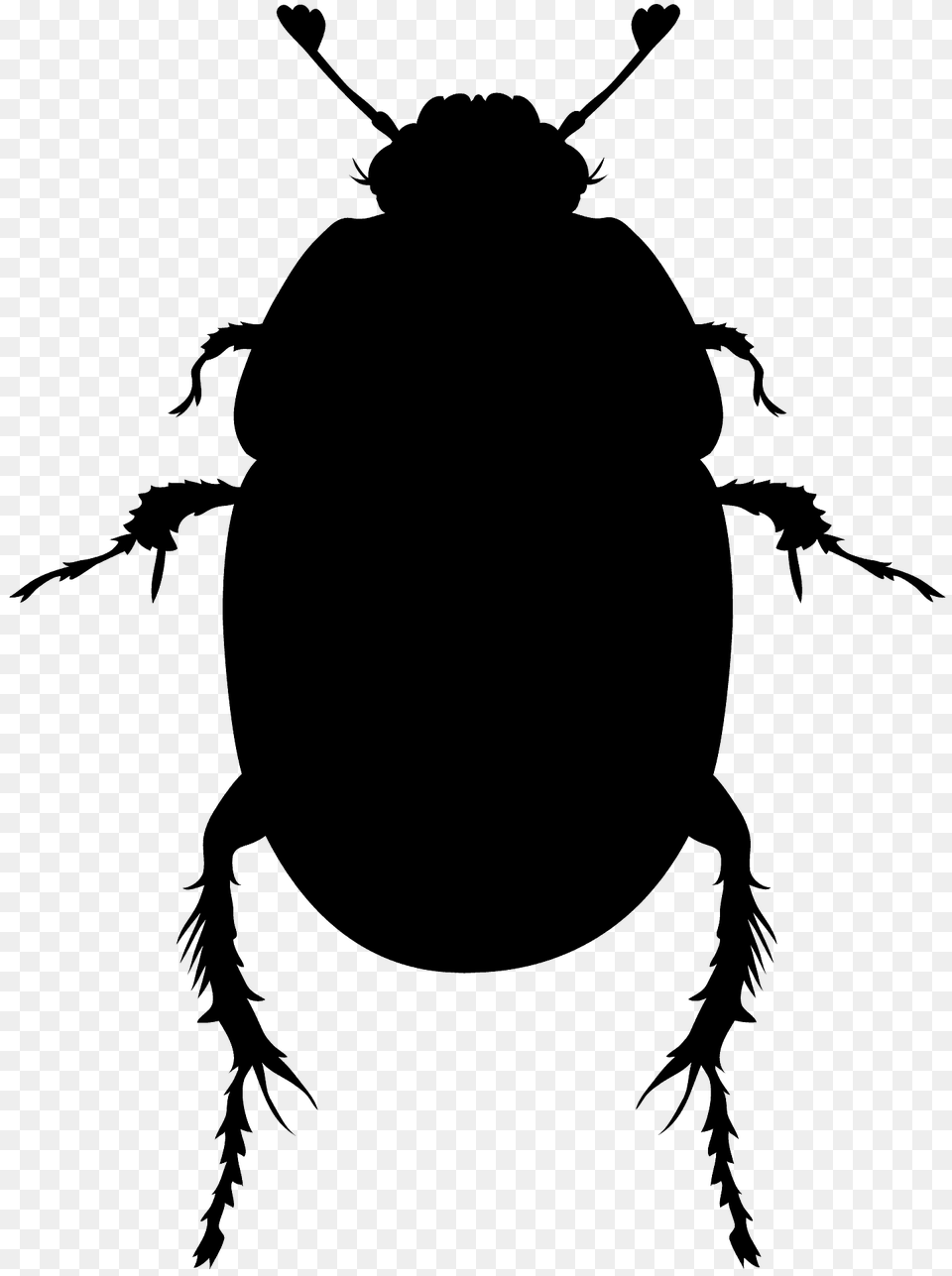 Scarab Beetle Silhouette, Animal, Dung Beetle, Insect, Invertebrate Png