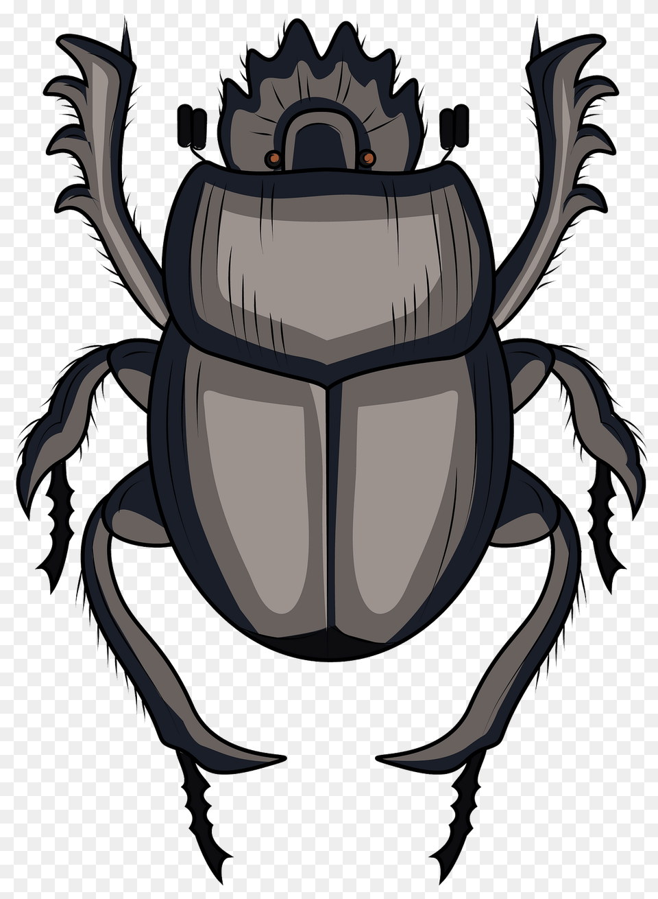 Scarabaeus Dung Beetle Clipart, Animal, Dung Beetle, Insect, Invertebrate Free Png Download