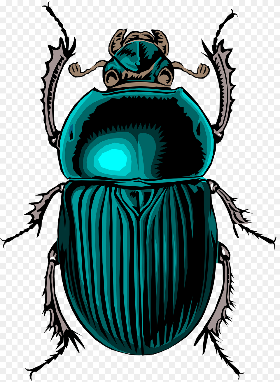 Scarabe Clipart, Animal, Person, Dung Beetle, Insect Free Png