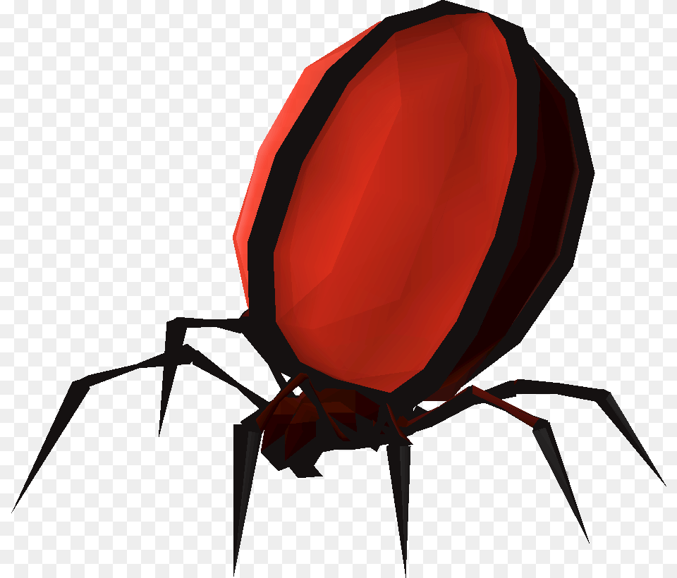 Scarabs, Animal, Invertebrate, Spider Png Image