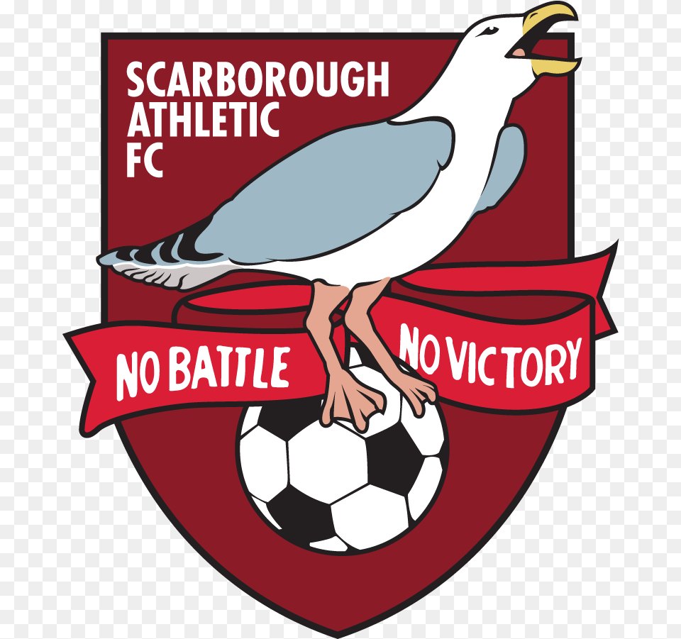 Scarborough Athletic Society Limited Agm And Director Scarborough Athletic Fc Logo, Advertisement, Poster, Animal, Bird Free Png Download