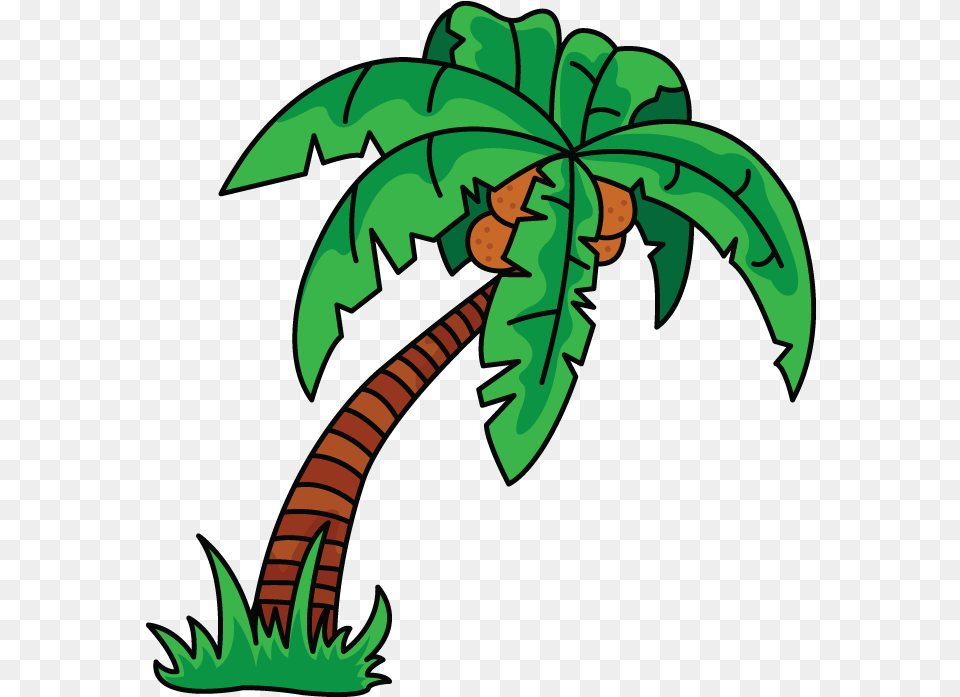 Scarce Palm Tree Drawing How To Draw A Easy Step By Drawing A Palm Tree In Illustrator, Vegetation, Land, Leaf, Nature Png