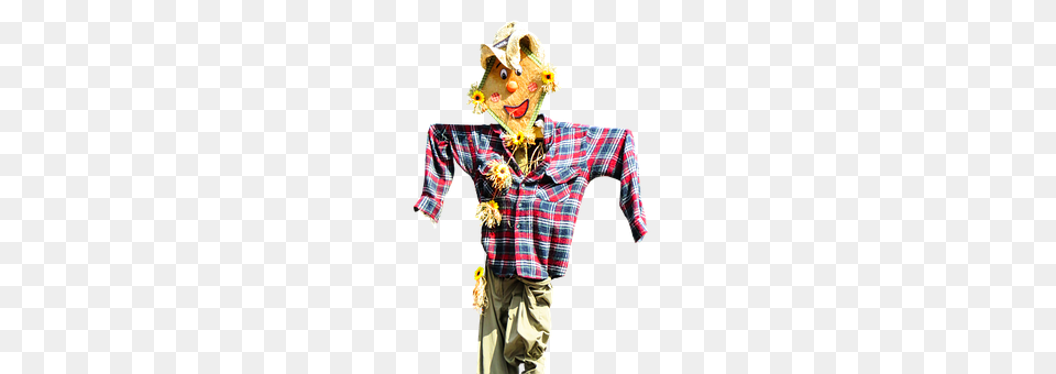 Scarecrow Person Png Image