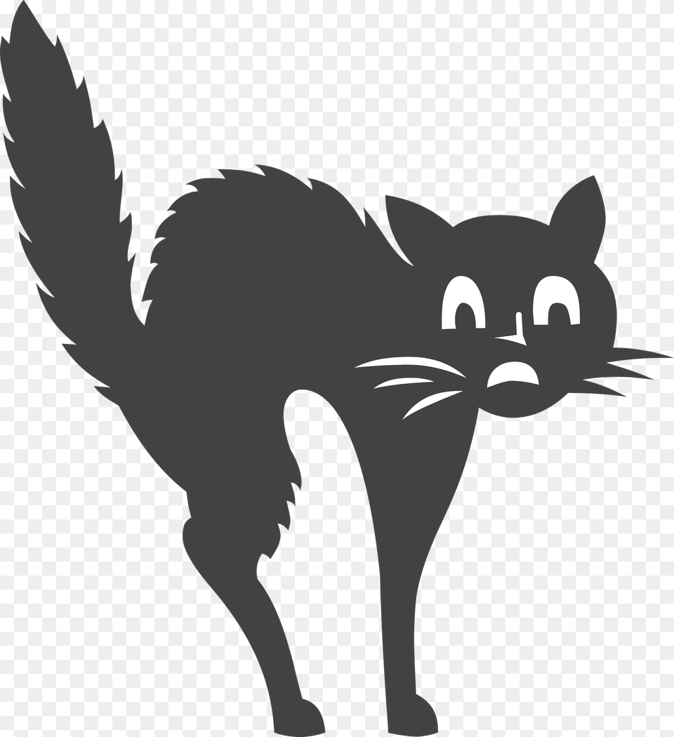 Scared Black Cat Clipart, Silhouette, Stencil, Animal, Mammal Png Image