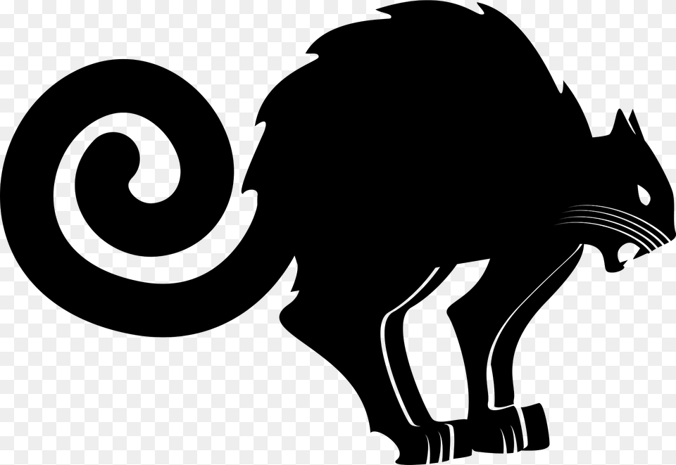 Scared Cat Clipart, Silhouette, Person, Animal, Mammal Free Transparent Png