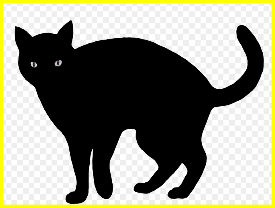 Scared Cat Clipart Clip Art Of A Scary Winging Free Png