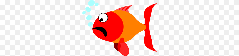 Scared Images Icon Cliparts, Animal, Sea Life, Fish, Goldfish Png Image