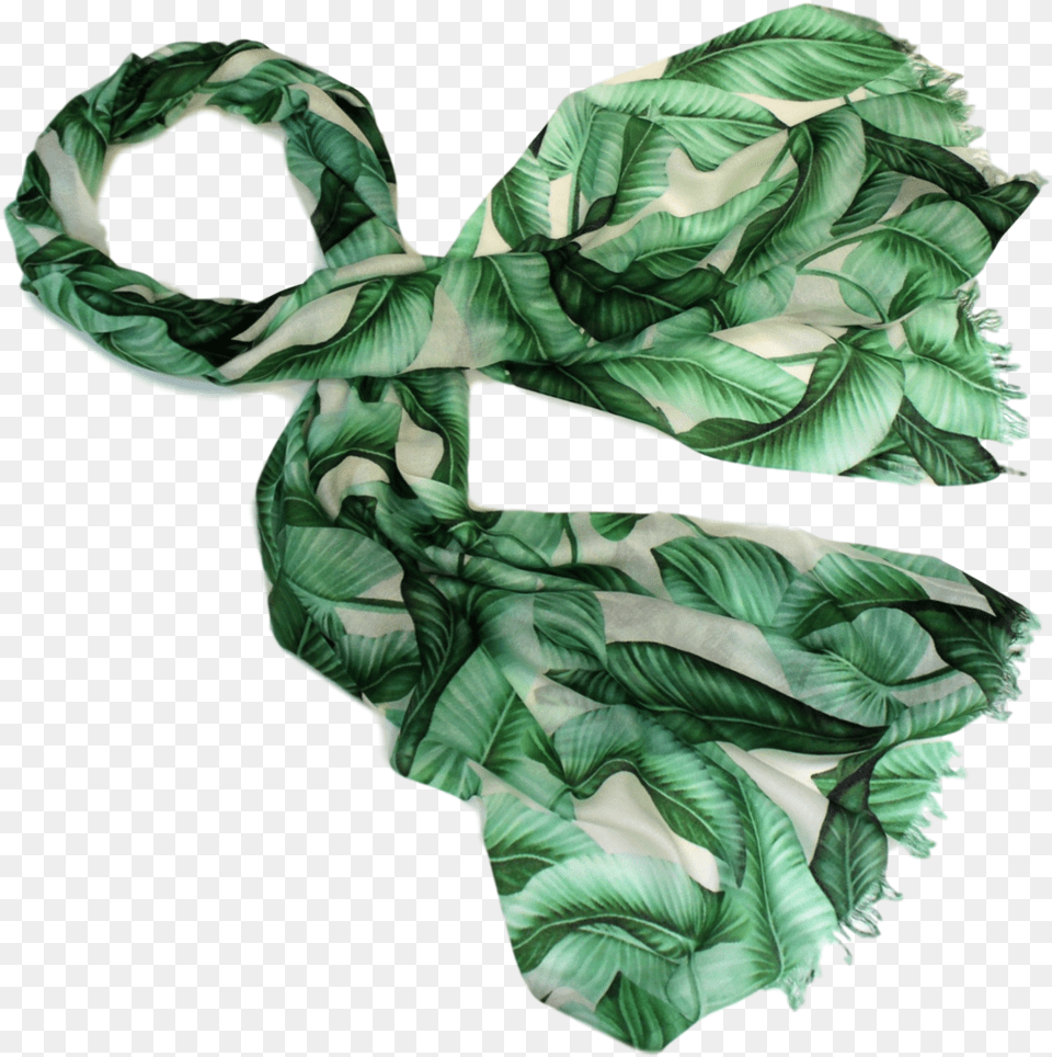 Scarf, Clothing, Plant Png