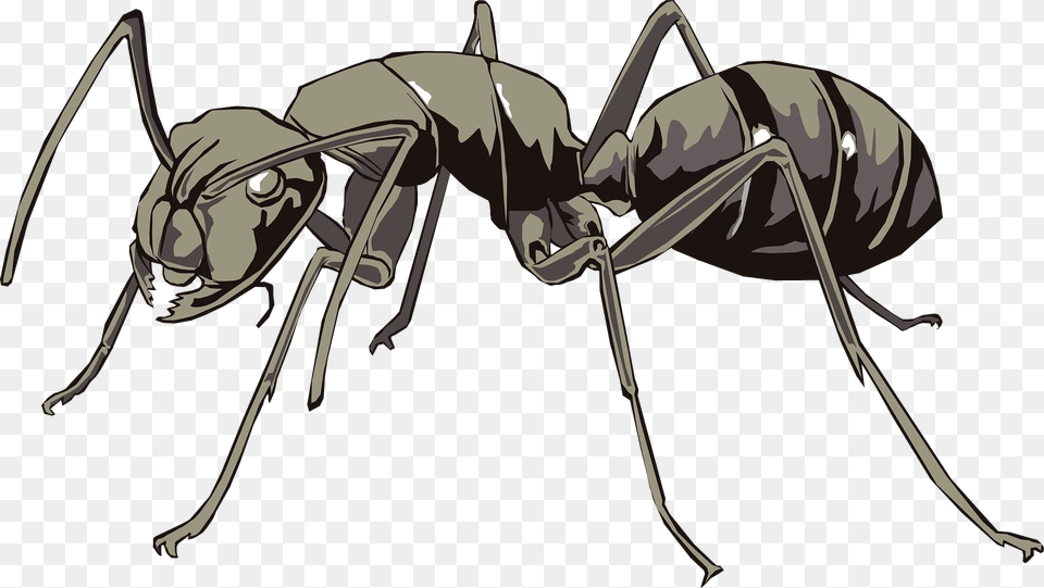 Scary Ant Clipart, Animal, Insect, Invertebrate, Bow Free Transparent Png