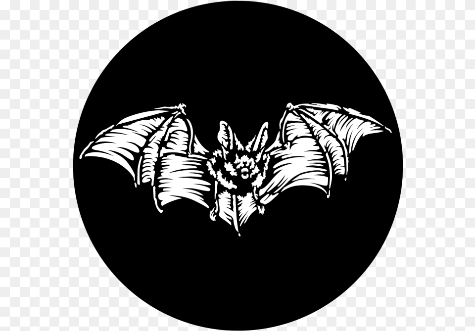 Scary Bat, Art, Accessories, Baby, Person Free Png Download