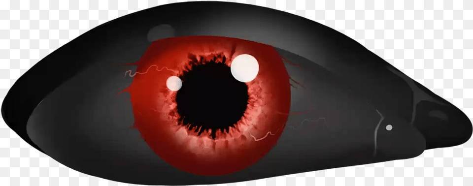 Scary Eye Picture Circle, Animal, Bee, Insect, Invertebrate Png Image