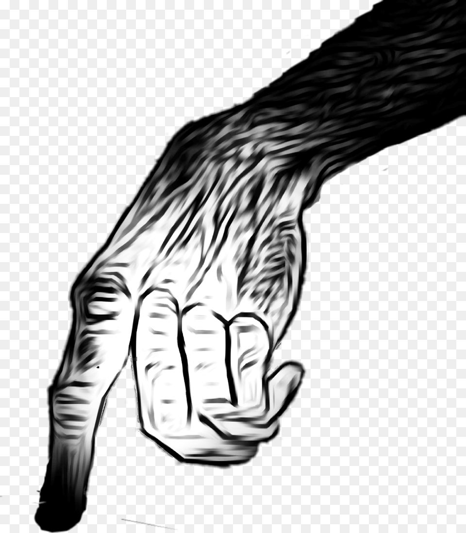 Scary Hand, Body Part, Finger, Person, Animal Free Transparent Png