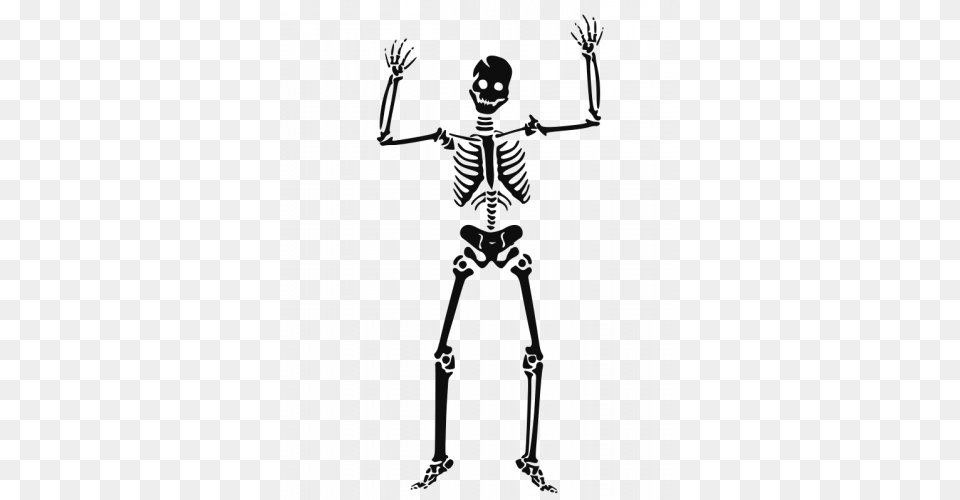 Scary Human Skeleton Vector, Person, Face, Head Free Transparent Png