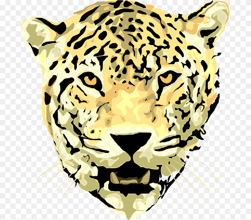 Scary Lion Pictures Jaguar Face Vector, Baby, Person, Animal, Mammal Png