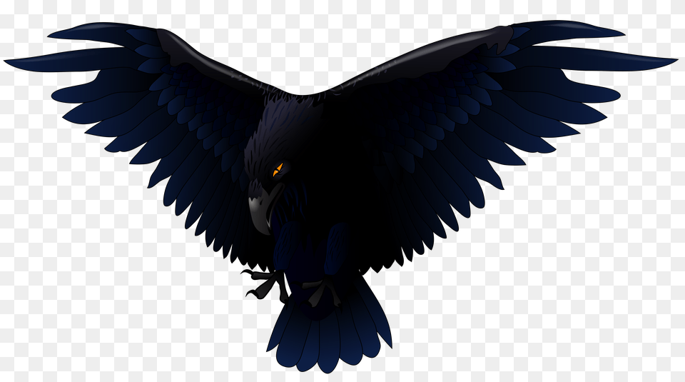 Scary Raven Vector, Animal, Bird, Vulture, Blackbird Png