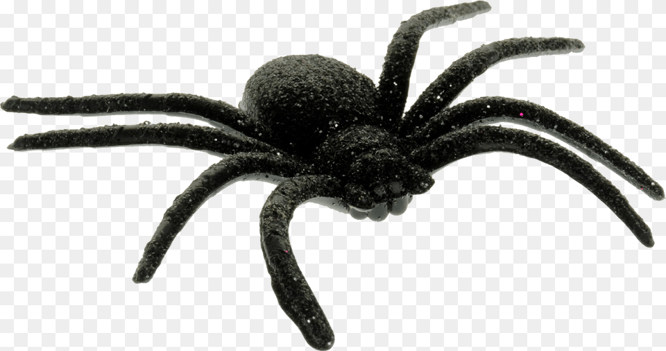 Scary Spider, Animal, Invertebrate, Insect, Tarantula Free Png Download