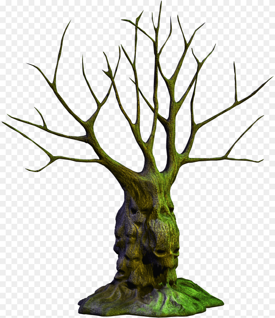 Scary Tree Cartoon, Plant, Accessories Free Png